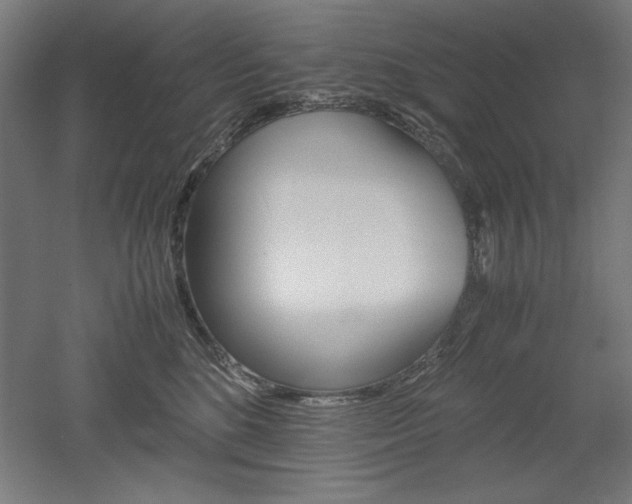 X0000052580520200507010917