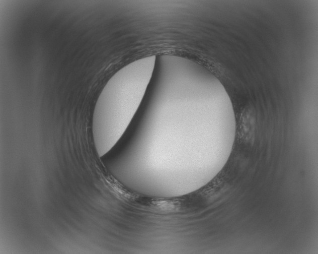 X0000052580522200507010917