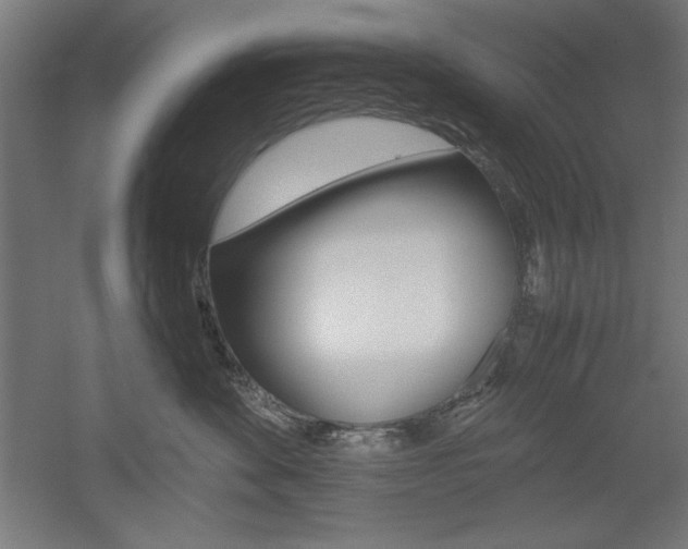 X0000052580524200507010917