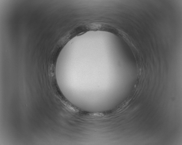 X0000052580525200507010917