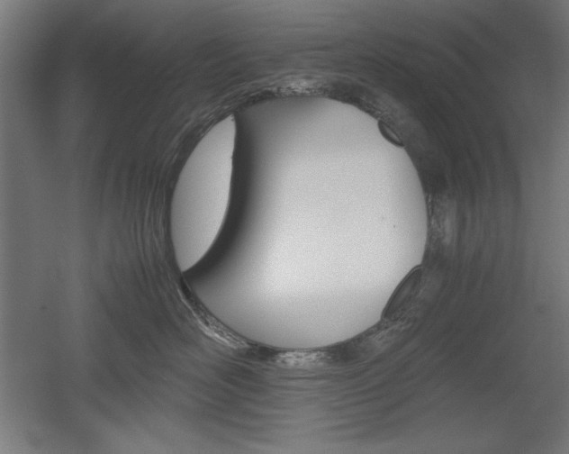X0000052580526200507010917