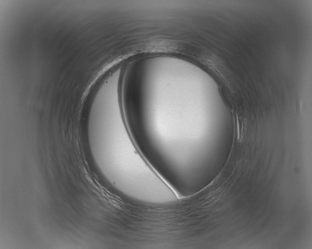 X0000052580531200507010916