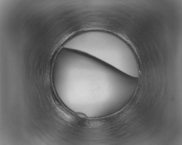 X0000052580533200507010916