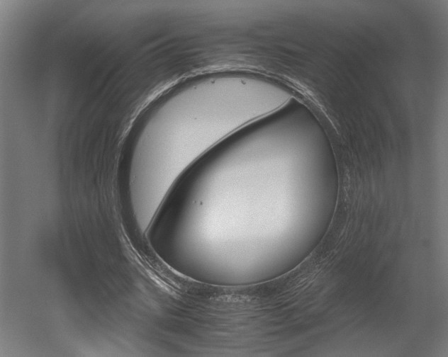 X0000052580535200507010916