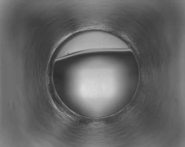 X0000052580536200507010916