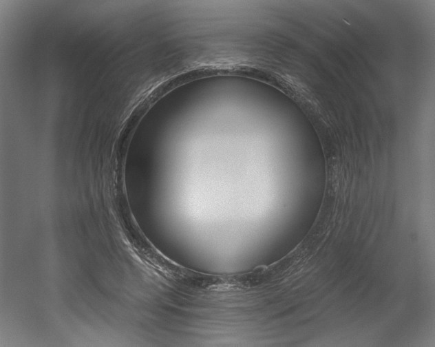 X0000052580544200507010916