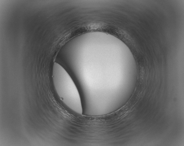 X0000052580545200507010916