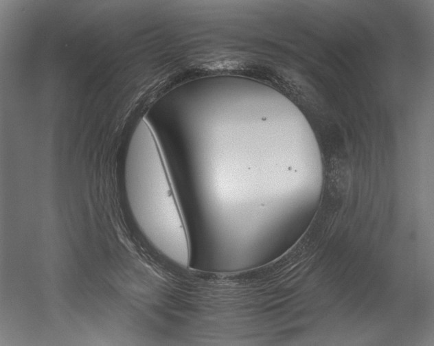 X0000052580547200507010916