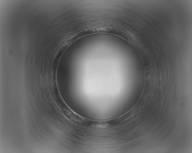 X0000052580548200507010916