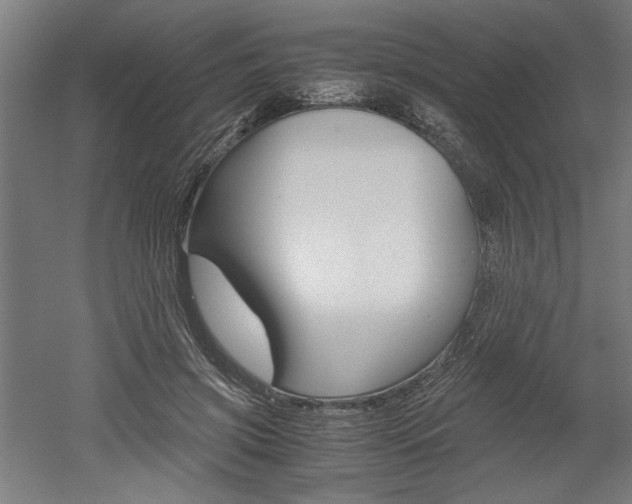 X0000052580549200507010916