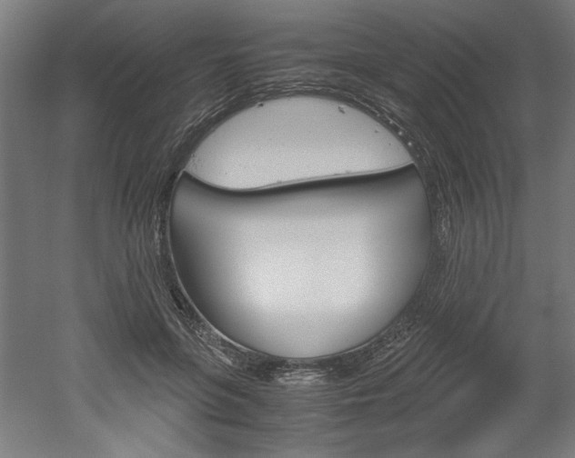X0000052580551200507010916