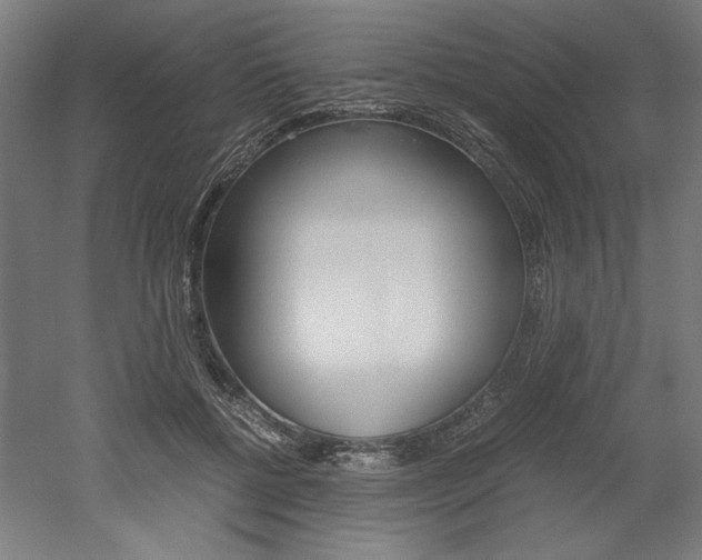 X0000052580552200507010916