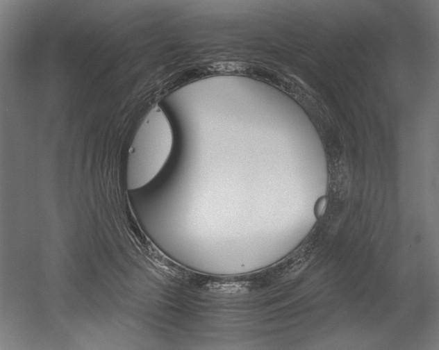 X0000052580553200507010916