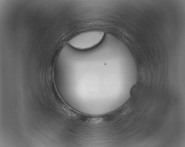 X0000052580554200507010916