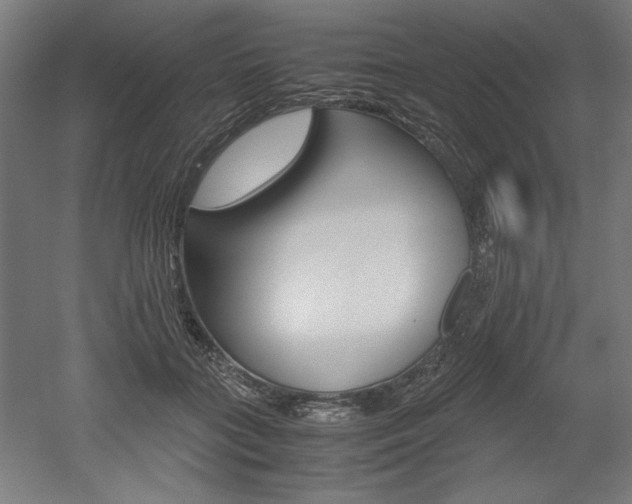 X0000052580555200507010916