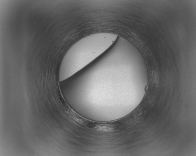 X0000052580557200507010916