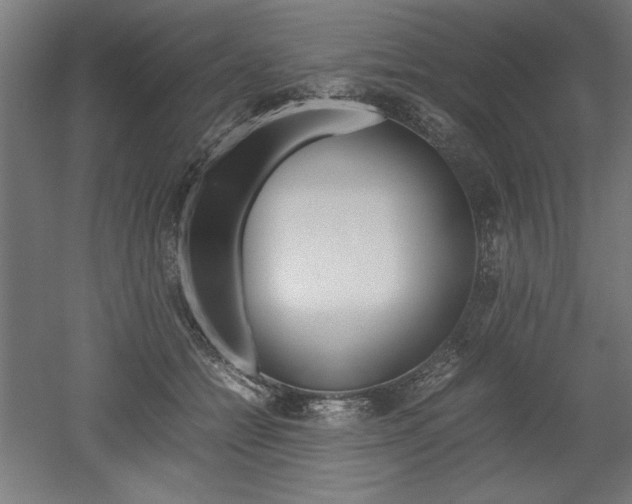 X0000052580558200507010916