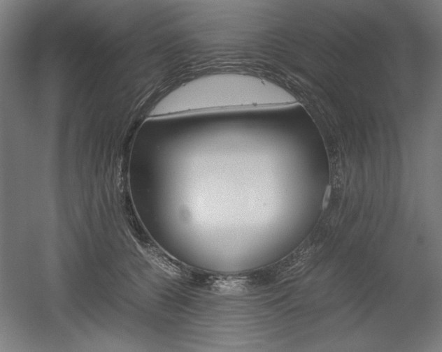 X0000052580560200507010916