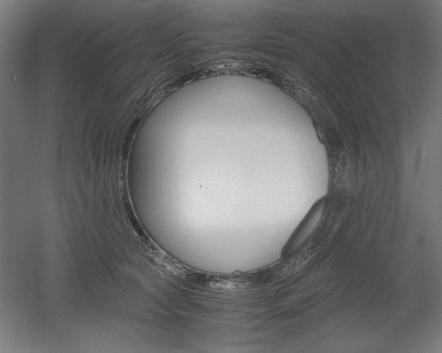 X0000052580561200507010916