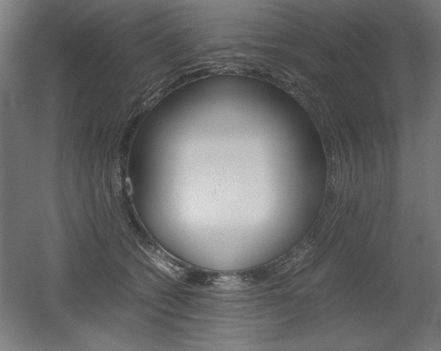 X0000052580562200507010916
