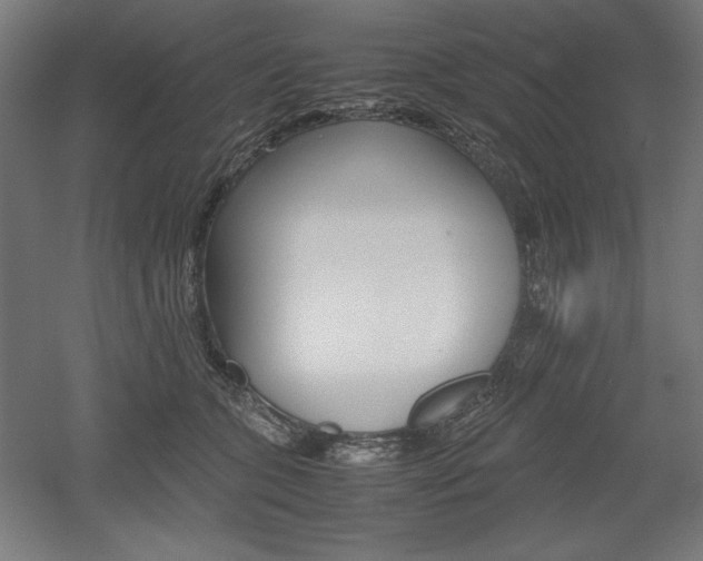 X0000052580563200507010916