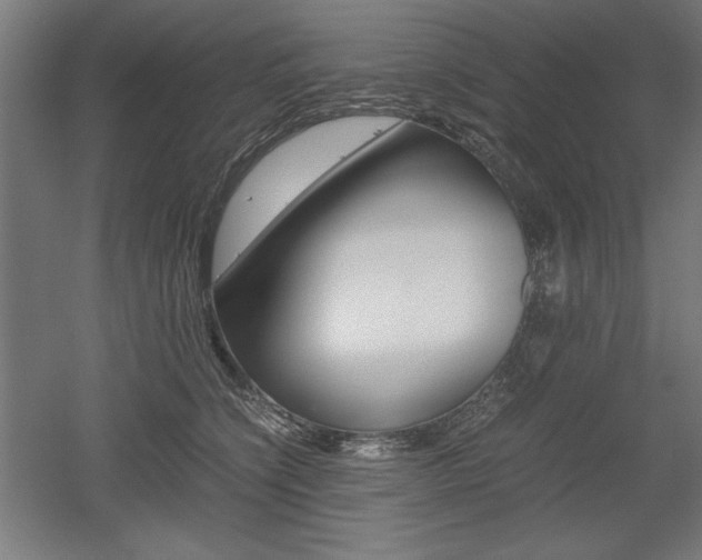 X0000052580564200507010916