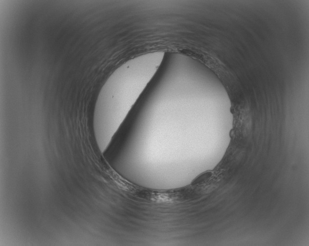X0000052580565200507010916