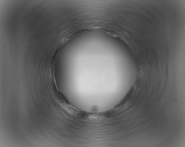 X0000052580568200507010916