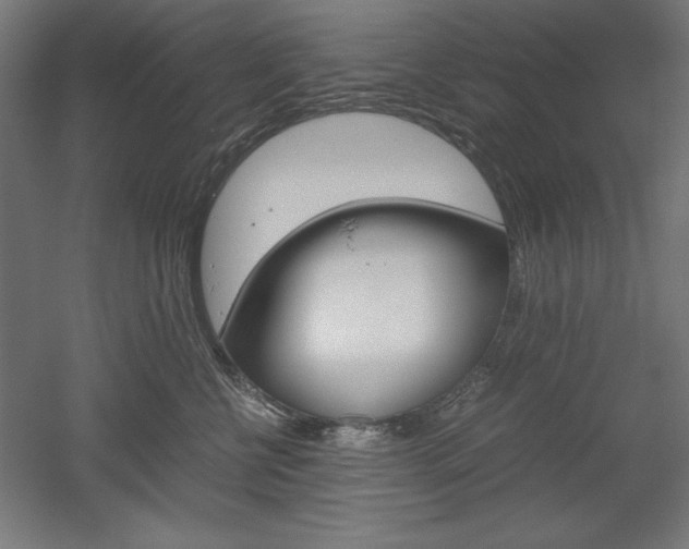 X0000052580570200507010916