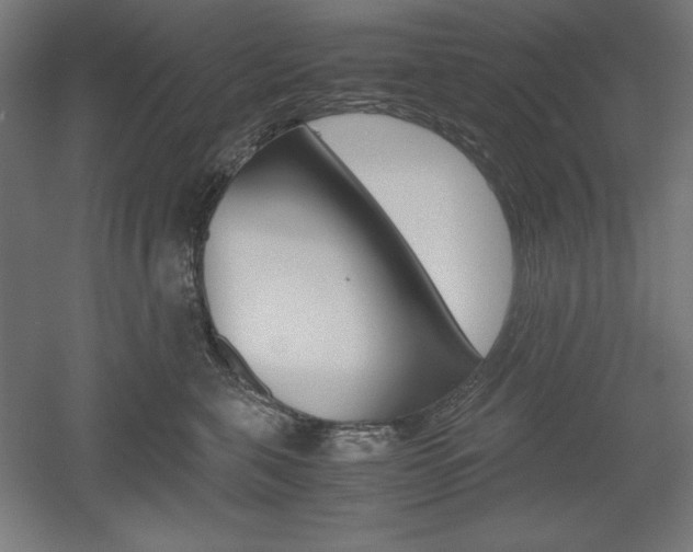 X0000052580571200507010916