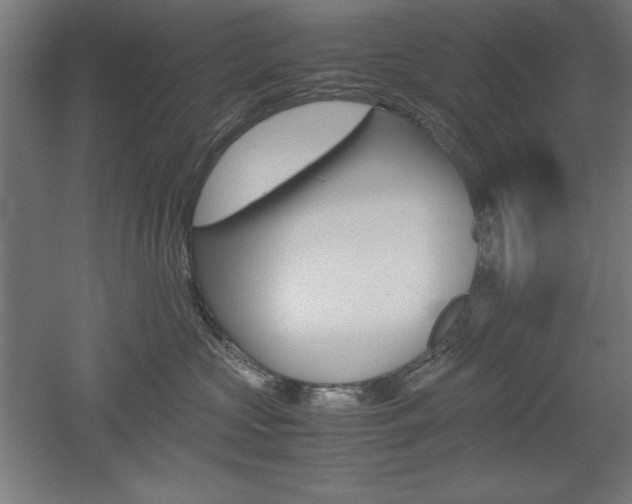 X0000052580573200507010916