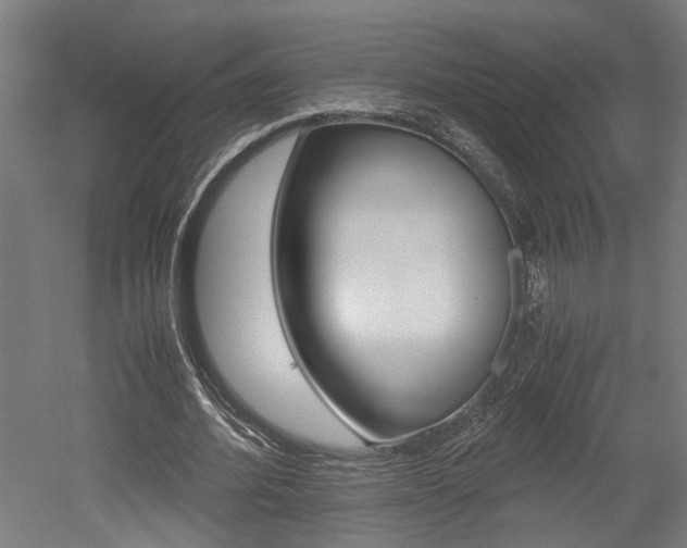 X0000052580580200507010916