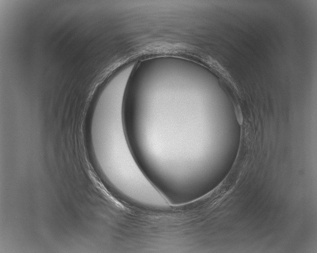 X0000052580581200507010916