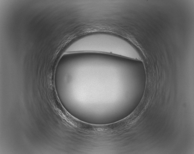 X0000052580585200507010916