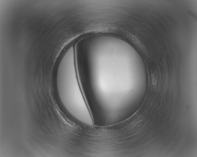 X0000052580588200507010915