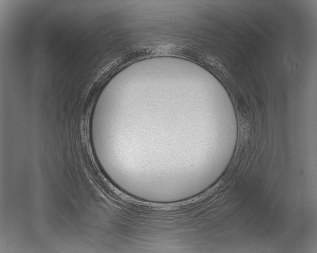 X0000052580591200507010915