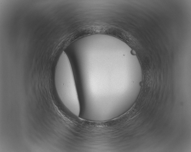 X0000052580594200507010915