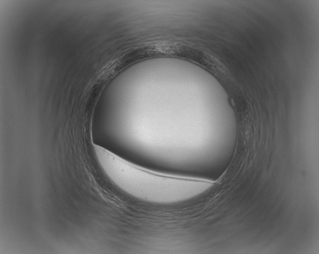 X0000052580595200507010915