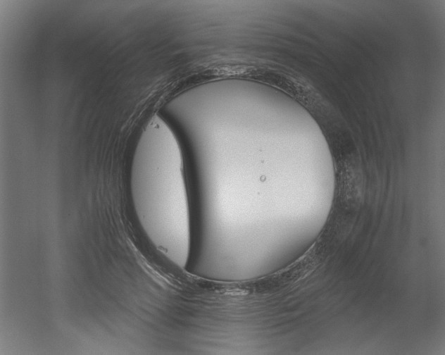 X0000052580598200507010915