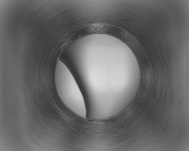 X0000052580602200507010915