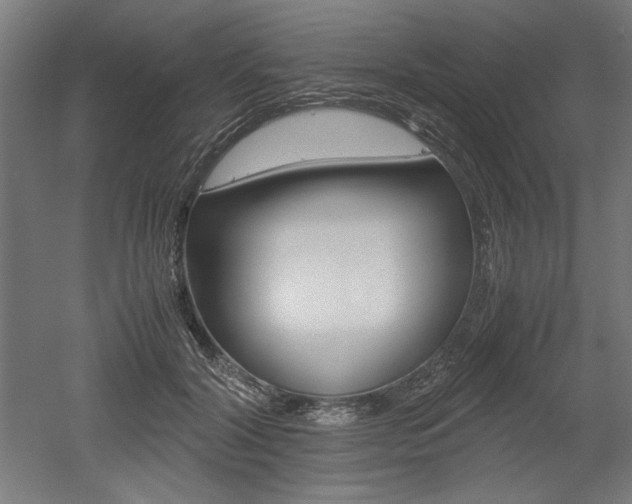 X0000052580604200507010915