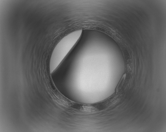 X0000052580605200507010915