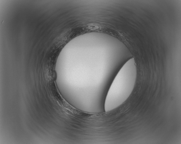X0000052580606200507010915
