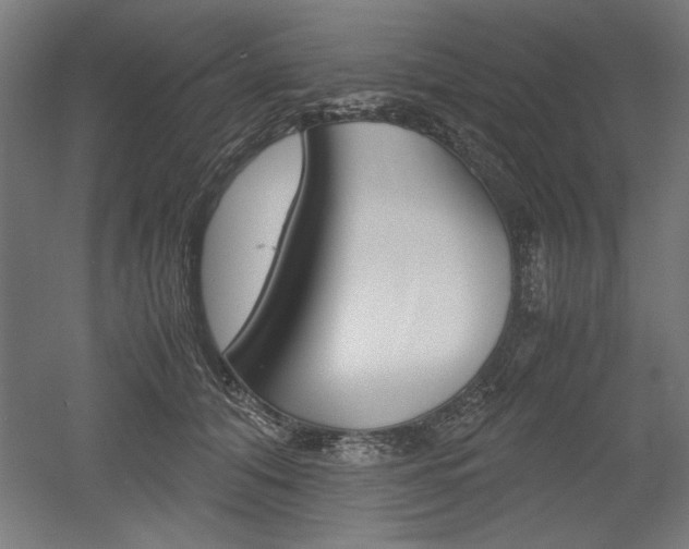 X0000052580608200507010915