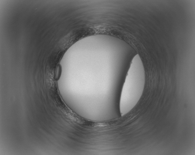 X0000052580610200507010915