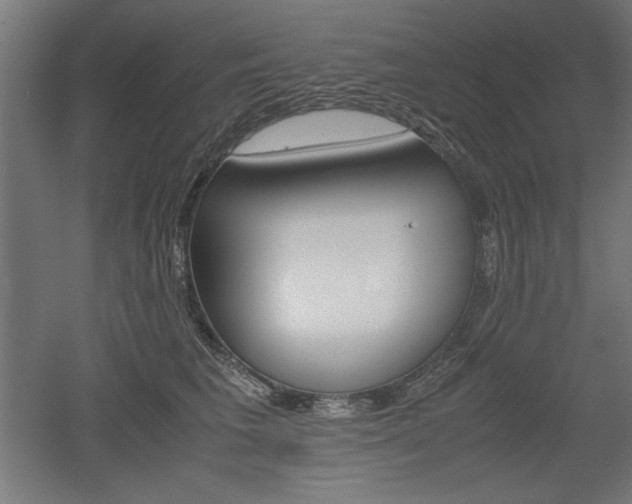 X0000052580613200507010915