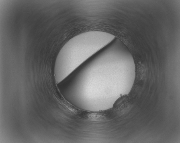 X0000052580614200507010915