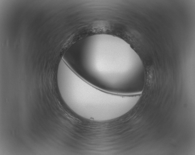 X0000052580616200507010915