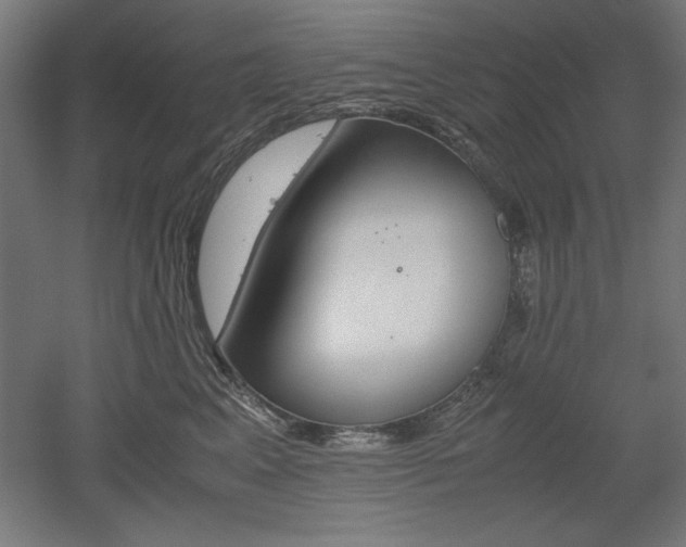 X0000052580617200507010915