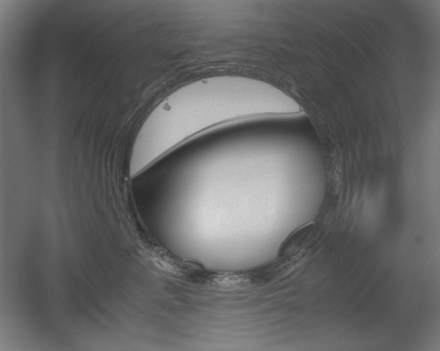 X0000052580619200507010915